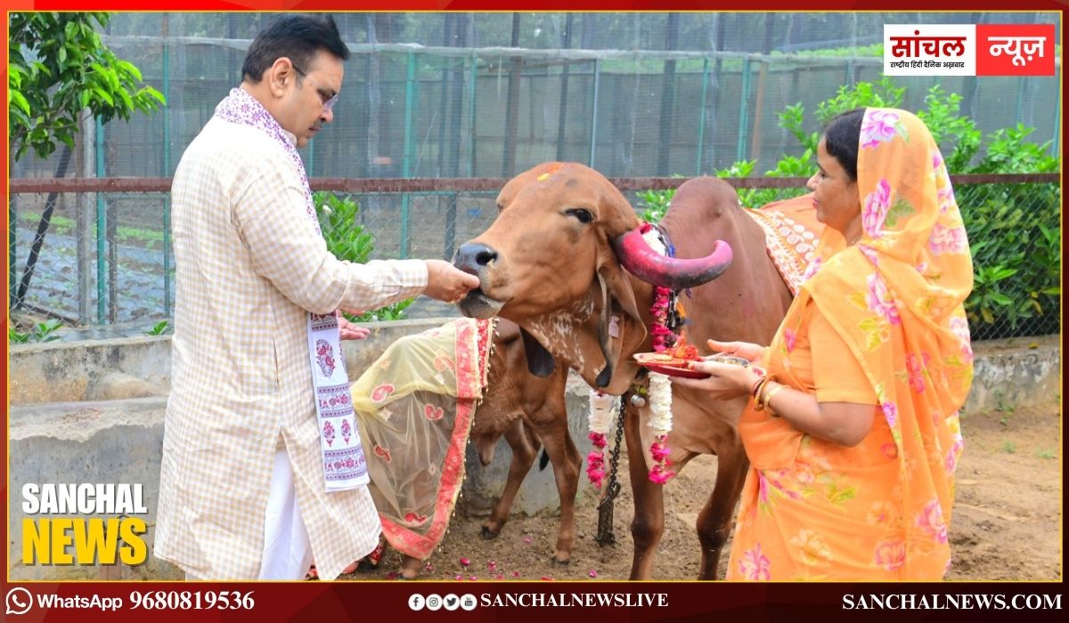 मुख्यमंत्री भजनलाल शर्मा ने गोपाष्टमी के अवसर पर मुख्यमंत्री निवास पर पत्नी के साथ गौ माता की पूजा-अर्चना की