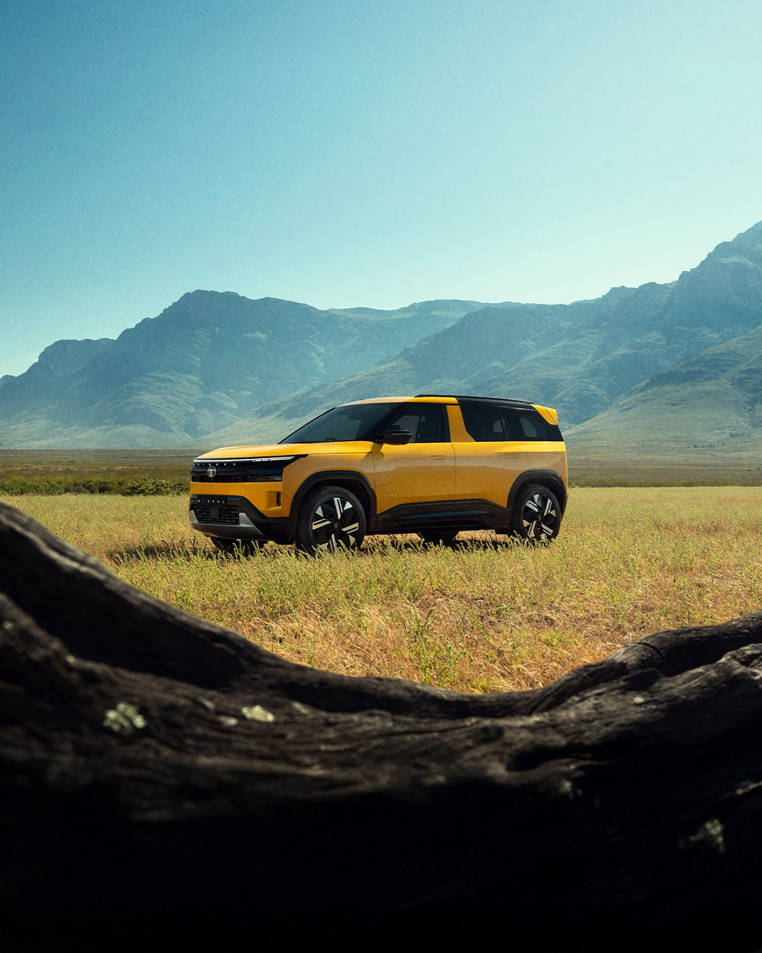 Tata Sierra: 7 दिन बाद लॉन्च होगी टाटा सिएरा, ऑटोमेटिक दोनों गियर बॉक्स के ऑप्शन