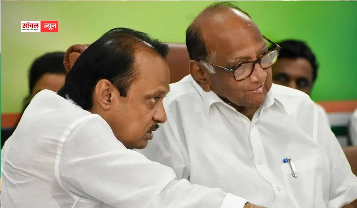 शरद पवार-अजित पवार के जीते पार्षदों ने बनाया बड़ा प्लान, नया फ्रंट बनाने के पीछे क्या है वजह?