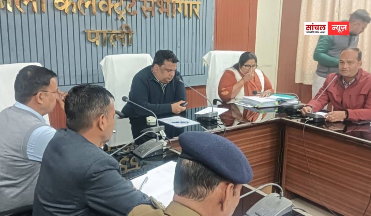 Pali News : अवैध प्रदूषित जल निकासी पर कार्रवाई, सीईटीपी को पूर्ण क्षमता से संचालित करने के निर्देश